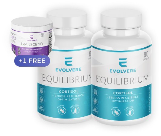 Buy 2 Equilibrium, Get 1 Free Transcend